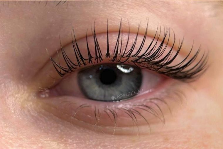 Dieselben Wimpern nach der Laminierung, von der Wurzel aufgerichtet