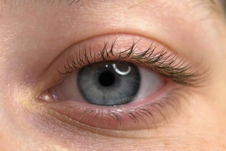 Wimpern vor der Laminierung: gerade und nach unten wachsend