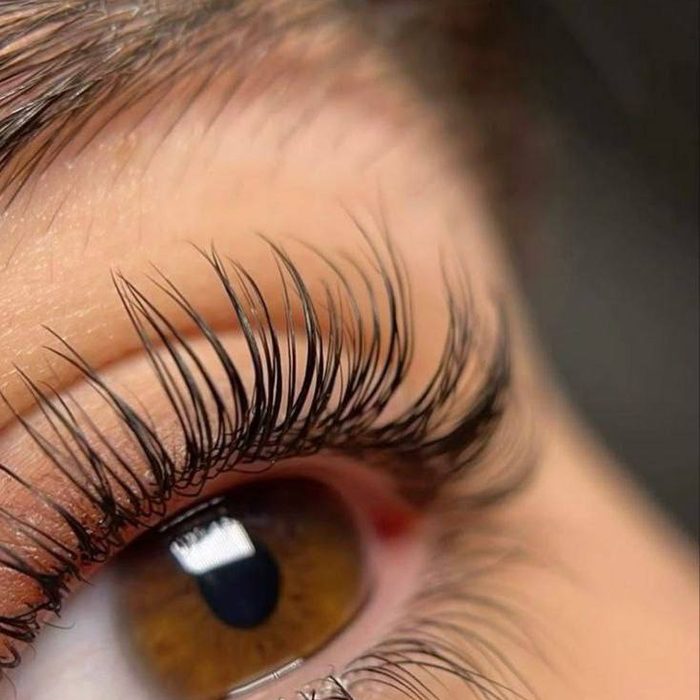 Laminierte Wimpern, von der Wurzel aufgerichtet